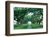 USA, Louisiana, New Orleans, brick path through alley of oak trees-null-Framed Photographic Print