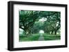 USA, Louisiana, New Orleans, brick path through alley of oak trees-null-Framed Photographic Print