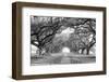 USA, Louisiana, New Orleans, brick path through alley of oak trees-null-Framed Photographic Print