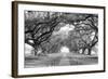 USA, Louisiana, New Orleans, brick path through alley of oak trees-null-Framed Photographic Print