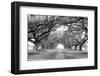 USA, Louisiana, New Orleans, brick path through alley of oak trees-null-Framed Photographic Print