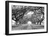 USA, Louisiana, New Orleans, brick path through alley of oak trees-null-Framed Photographic Print