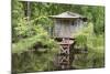 USA, Louisiana, New Orleans, Lafitte, Jean Lafitte NHP. Bayou cabin.-Cindy Miller Hopkins-Mounted Photographic Print