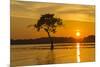 USA, Louisiana. Sunrise on Miller's Lake.-Jaynes Gallery-Mounted Premium Photographic Print