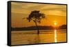 USA, Louisiana. Sunrise on Miller's Lake.-Jaynes Gallery-Framed Stretched Canvas