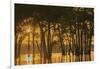 USA, Louisiana. Sunrise on Miller's Lake.-Jaynes Gallery-Framed Photographic Print