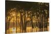 USA, Louisiana. Sunrise on Miller's Lake.-Jaynes Gallery-Stretched Canvas