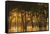 USA, Louisiana. Sunrise on Miller's Lake.-Jaynes Gallery-Framed Stretched Canvas