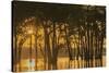 USA, Louisiana. Sunrise on Miller's Lake.-Jaynes Gallery-Stretched Canvas