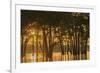 USA, Louisiana. Sunrise on Miller's Lake.-Jaynes Gallery-Framed Premium Photographic Print