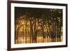 USA, Louisiana. Sunrise on Miller's Lake.-Jaynes Gallery-Framed Premium Photographic Print