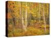 USA, Maine, Acadia National Park. Autumn colors in forest.-Jaynes Gallery-Stretched Canvas