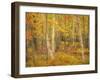 USA, Maine, Acadia National Park. Autumn colors in forest.-Jaynes Gallery-Framed Photographic Print