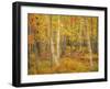 USA, Maine, Acadia National Park. Autumn colors in forest.-Jaynes Gallery-Framed Photographic Print