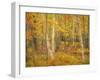 USA, Maine, Acadia National Park. Autumn colors in forest.-Jaynes Gallery-Framed Photographic Print