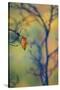 USA, Maine, Acadia National Park. Autumn Leaves and Tree Abstract-Jaynes Gallery-Stretched Canvas