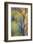 USA, Maine, Acadia National Park. Autumn Leaves and Tree Abstract-Jaynes Gallery-Framed Photographic Print