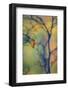 USA, Maine, Acadia National Park. Autumn Leaves and Tree Abstract-Jaynes Gallery-Framed Photographic Print
