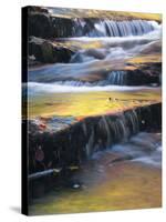 USA, Maine, Acadia National Park. Autumn Reflections in Stream-Jaynes Gallery-Stretched Canvas