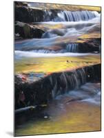 USA, Maine, Acadia National Park. Autumn Reflections in Stream-Jaynes Gallery-Mounted Photographic Print