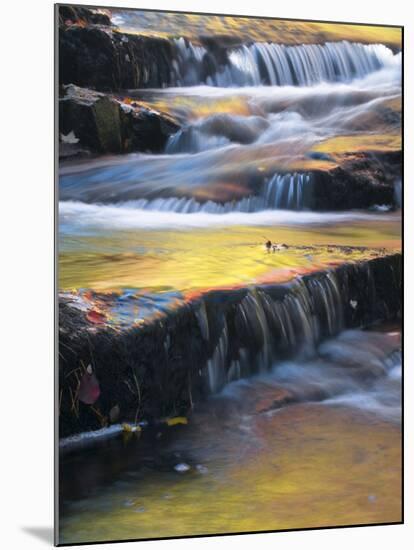 USA, Maine, Acadia National Park. Autumn Reflections in Stream-Jaynes Gallery-Mounted Photographic Print