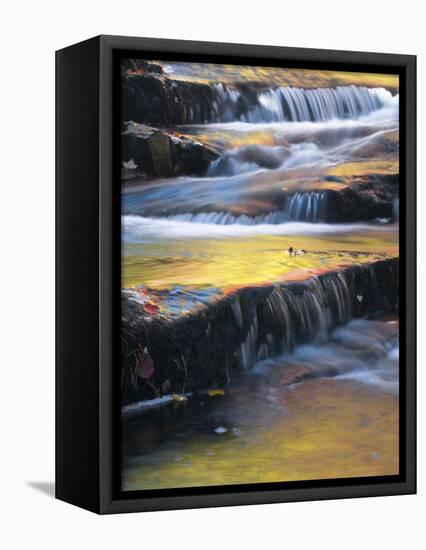 USA, Maine, Acadia National Park. Autumn Reflections in Stream-Jaynes Gallery-Framed Stretched Canvas