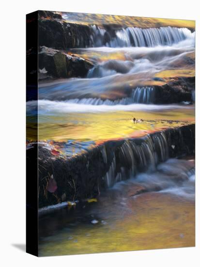 USA, Maine, Acadia National Park. Autumn Reflections in Stream-Jaynes Gallery-Stretched Canvas