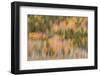 USA, Maine, Acadia National Park. Forest abstract.-Jaynes Gallery-Framed Photographic Print