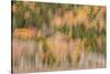 USA, Maine, Acadia National Park. Forest abstract.-Jaynes Gallery-Stretched Canvas