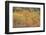 USA, Maine, Acadia National Park. Forest landscape in autumn colors.-Jaynes Gallery-Framed Photographic Print