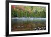 USA, Maine. Acadia National Park, morning fog at Bubble Pond.-Joanne Wells-Framed Photographic Print