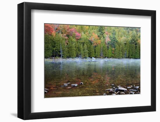 USA, Maine. Acadia National Park, morning fog at Bubble Pond.-Joanne Wells-Framed Photographic Print