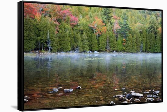 USA, Maine. Acadia National Park, morning fog at Bubble Pond.-Joanne Wells-Framed Stretched Canvas