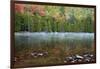 USA, Maine. Acadia National Park, morning fog at Bubble Pond.-Joanne Wells-Framed Photographic Print