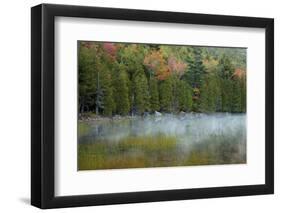 USA, Maine. Acadia National Park, morning fog at Bubble Pond.-Joanne Wells-Framed Photographic Print