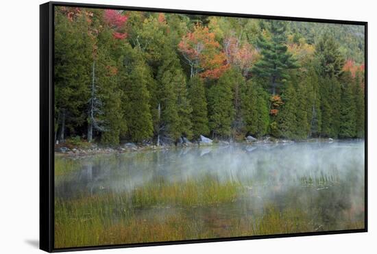 USA, Maine. Acadia National Park, morning fog at Bubble Pond.-Joanne Wells-Framed Stretched Canvas
