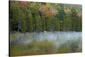 USA, Maine. Acadia National Park, morning fog at Bubble Pond.-Joanne Wells-Stretched Canvas