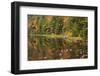 USA, Maine. Acadia National Park, reflections in the fall at Bubble Pond.-Joanne Wells-Framed Photographic Print