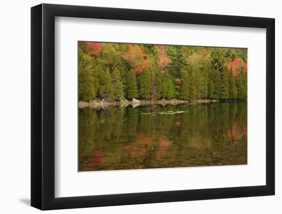 USA, Maine. Acadia National Park, reflections in the fall at Bubble Pond.-Joanne Wells-Framed Photographic Print