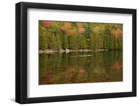 USA, Maine. Acadia National Park, reflections in the fall at Bubble Pond.-Joanne Wells-Framed Photographic Print