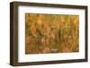 USA, Maine. Acadia National Park, reflections of fall color in a pond.-Joanne Wells-Framed Photographic Print