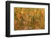 USA, Maine. Acadia National Park, reflections of fall color in a pond.-Joanne Wells-Framed Photographic Print