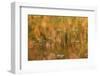 USA, Maine. Acadia National Park, reflections of fall color in a pond.-Joanne Wells-Framed Photographic Print