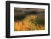 USA, Maine. Acadia National Park, reflections of fall color in a pond.-Joanne Wells-Framed Photographic Print