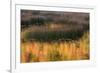 USA, Maine. Acadia National Park, reflections of fall color in a pond.-Joanne Wells-Framed Photographic Print