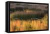 USA, Maine. Acadia National Park, reflections of fall color in a pond.-Joanne Wells-Framed Stretched Canvas