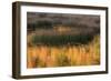 USA, Maine. Acadia National Park, reflections of fall color in a pond.-Joanne Wells-Framed Photographic Print