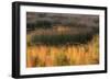 USA, Maine. Acadia National Park, reflections of fall color in a pond.-Joanne Wells-Framed Photographic Print