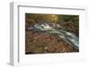 USA, Maine, Acadia National Park. Stream rapids in forest.-Jaynes Gallery-Framed Photographic Print