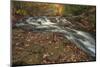 USA, Maine, Acadia National Park. Stream rapids in forest.-Jaynes Gallery-Mounted Photographic Print